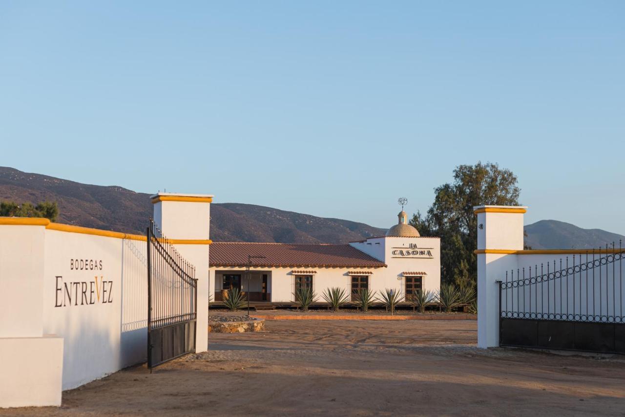 Bed and Breakfast Casa Entrevez Valle de Guadalupe Exteriér fotografie